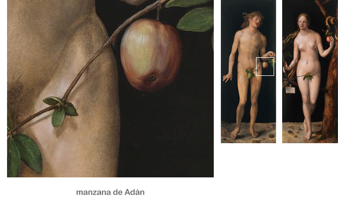 Manzana en la mano