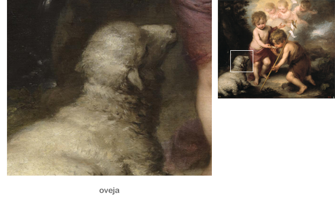 Oveja