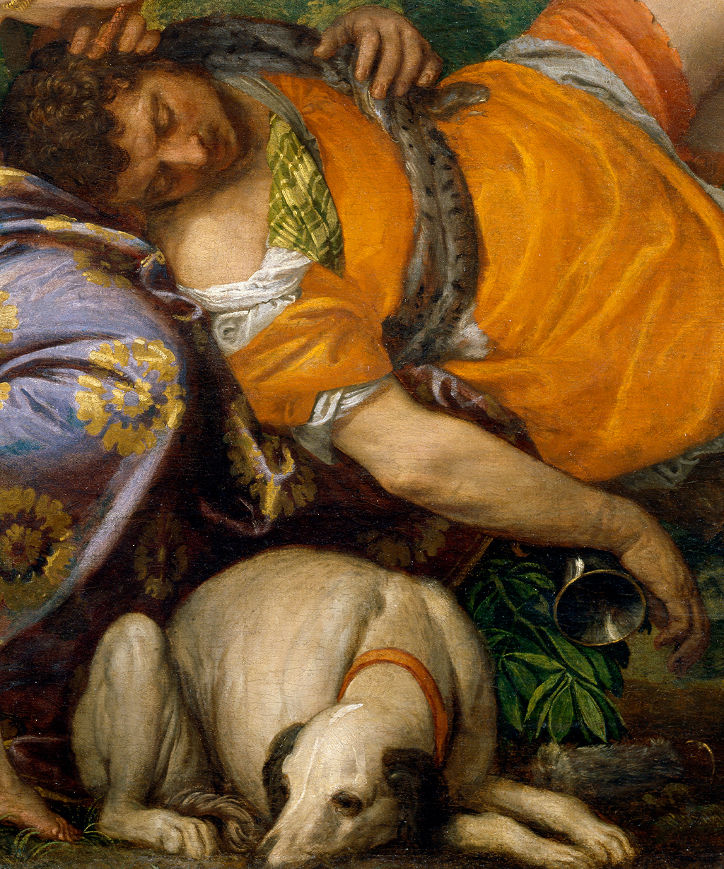 DetailAdonis