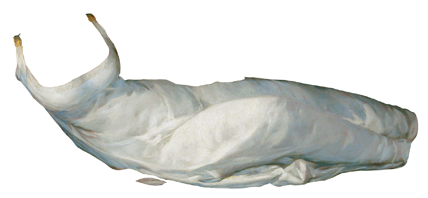 Vestido de la marquesa de Santa Cruz