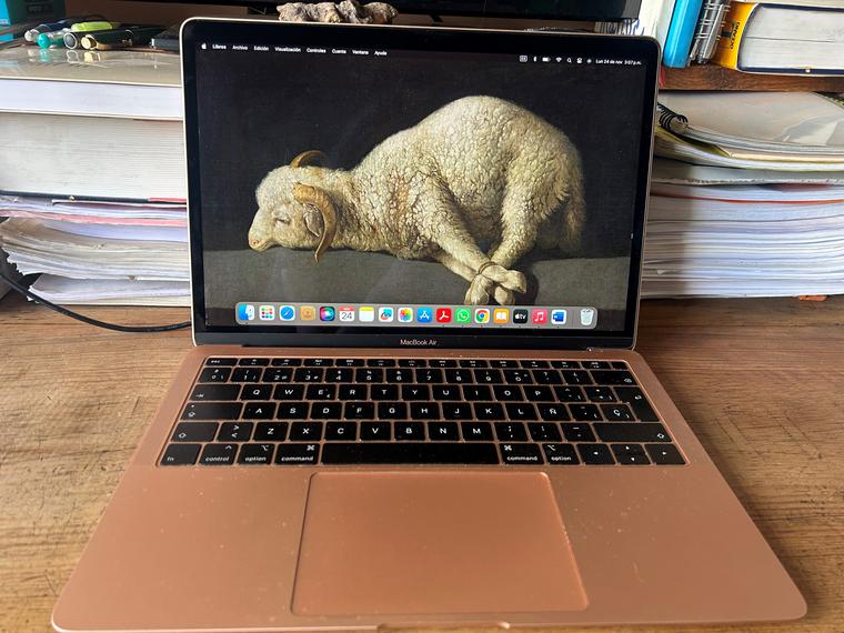 Web de Agnus Dei
