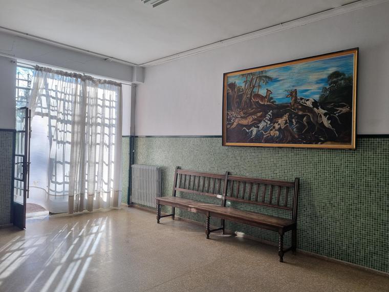 Copia de Cacería de corzos