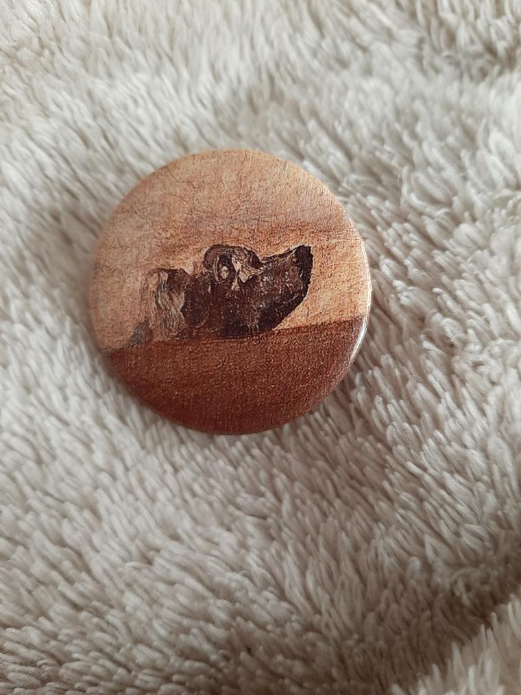 Chapa de perro semihundido