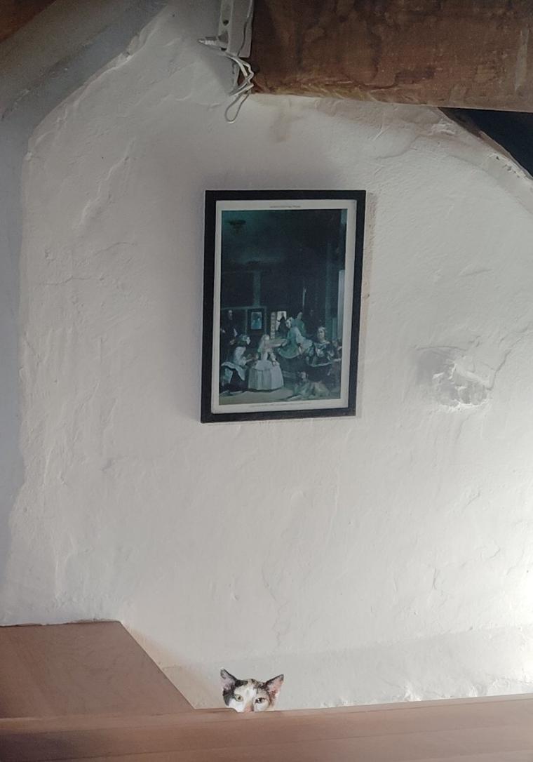 Reproducción de Las meninas