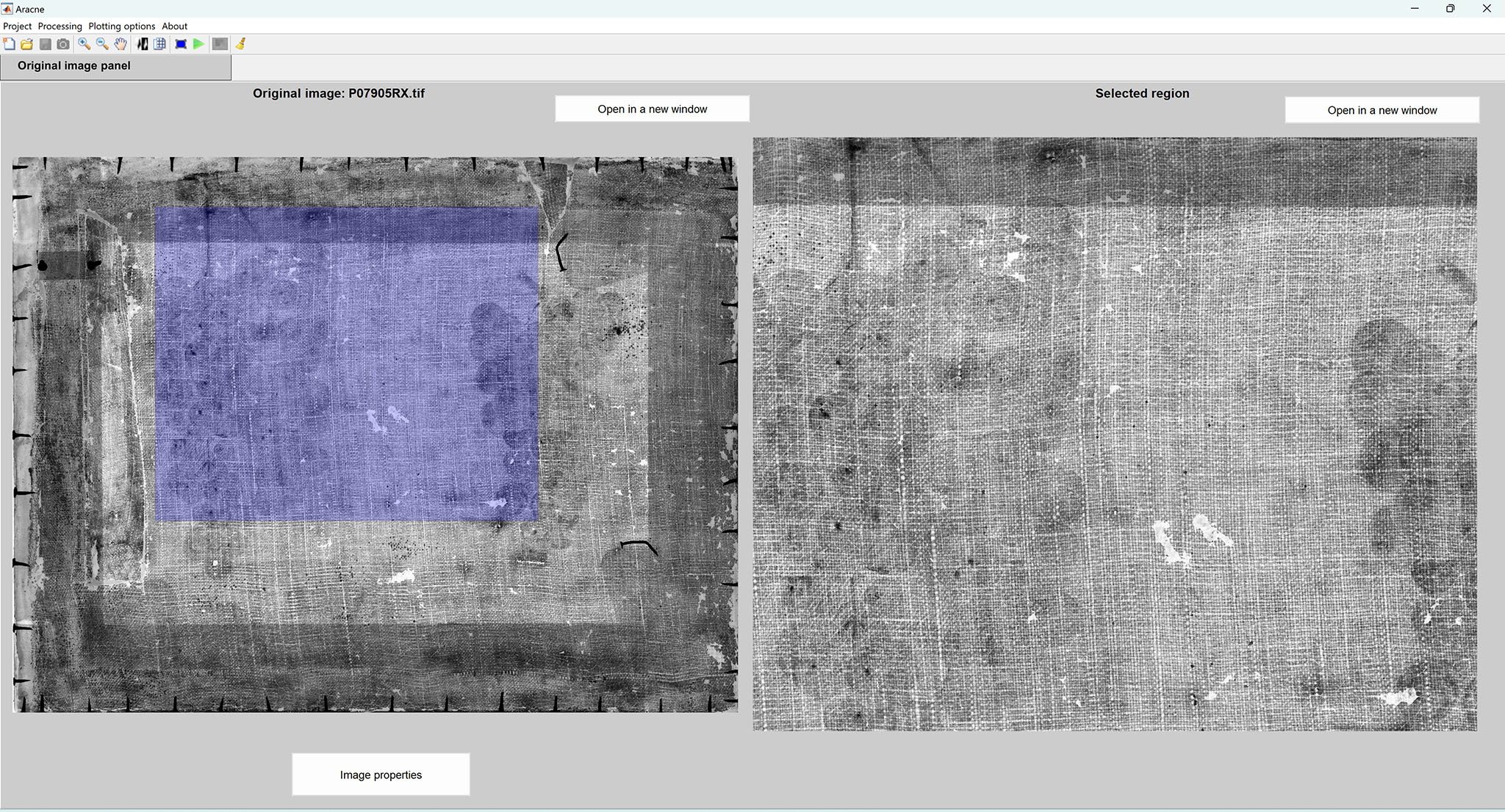 Imagen de Recorte de la pantalla «Original image panel», una vez cargada la imagen y seleccionada la región de interés.