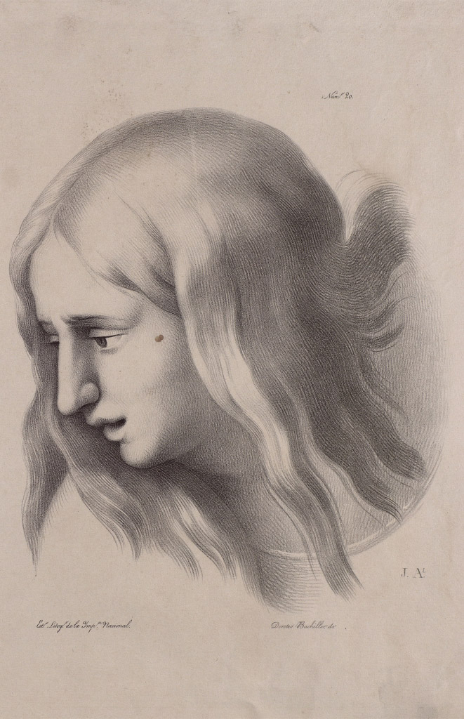 Imagen de José María Avrial, Cartilla de principios de dibujo, Madrid, 1837-1842. Bord/176