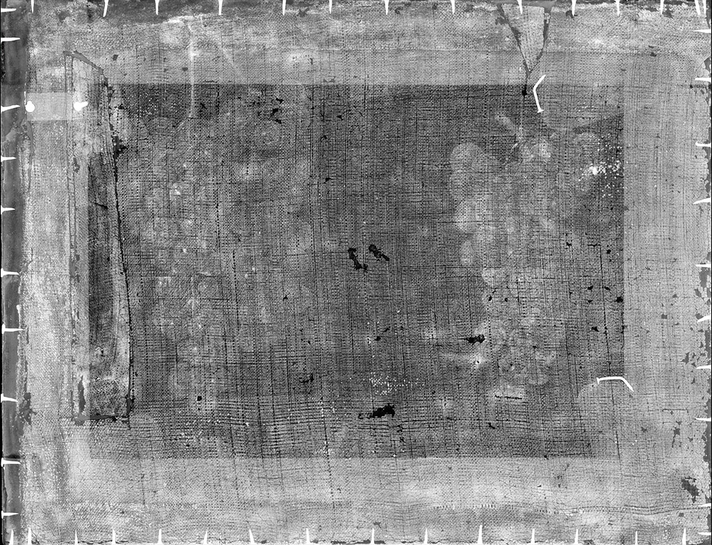 Radiografía de Dos racimos de uvas con una mosca (P-7905)