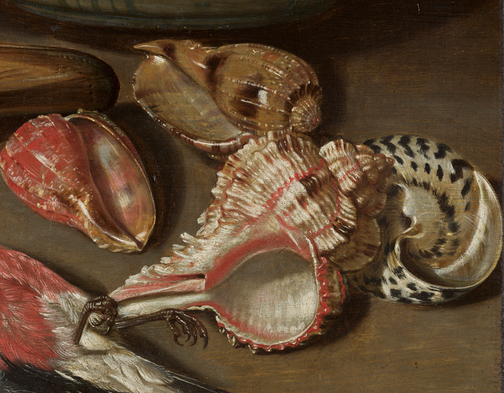 Detail shells